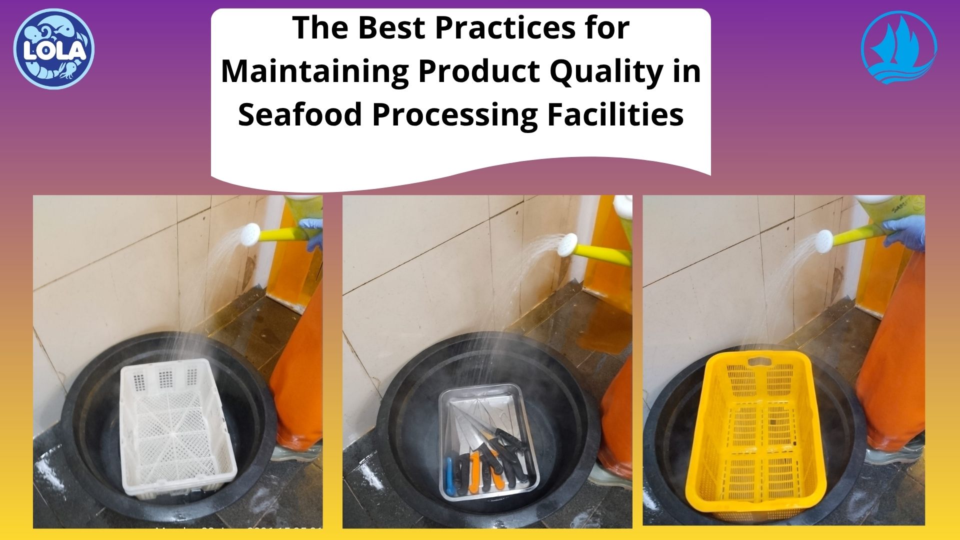  The Best Practices for Maintaining Product Quality in Seafood Processing Facilities